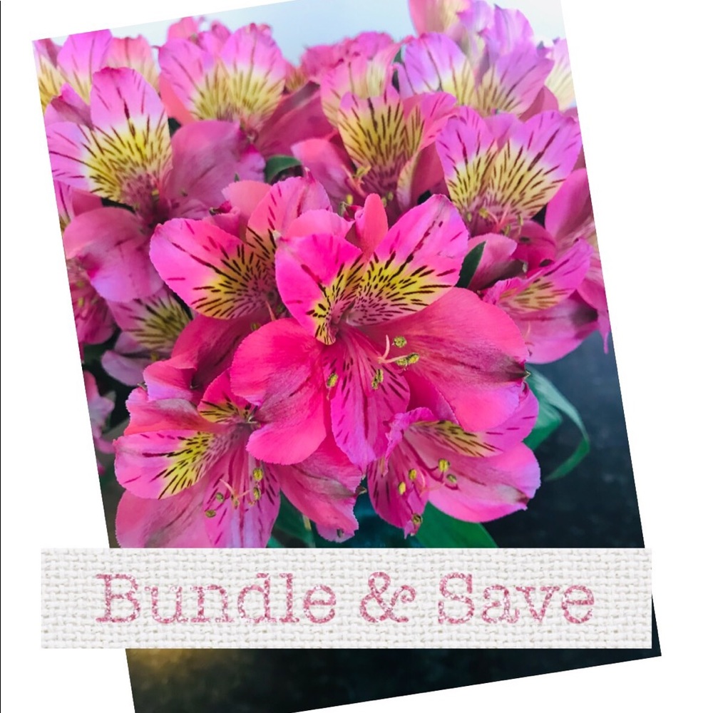 Bundle & Save